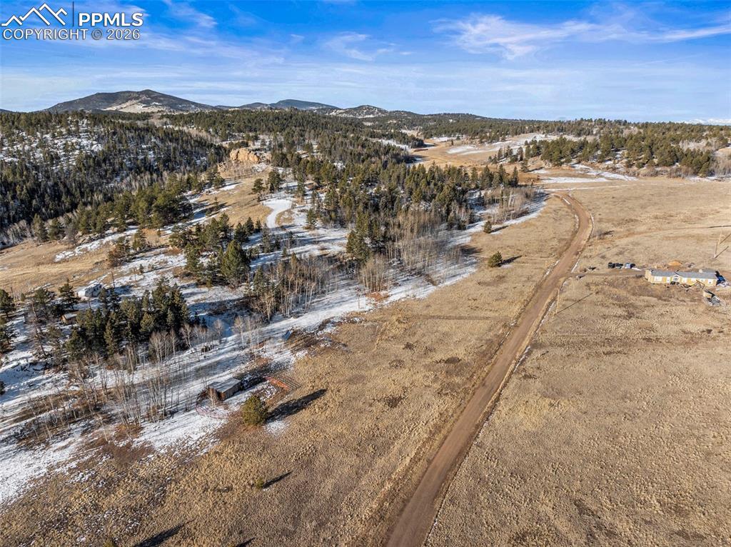 546 Alpine Meadows Lane Florissant CO 80816