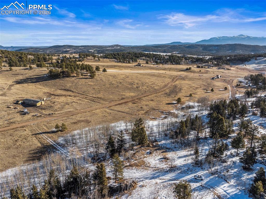 546 Alpine Meadows Lane Florissant CO 80816