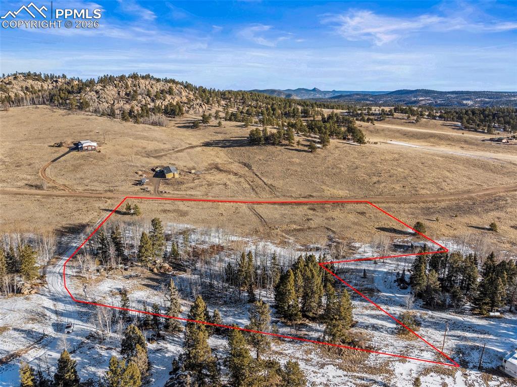 546 Alpine Meadows Lane Florissant CO 80816