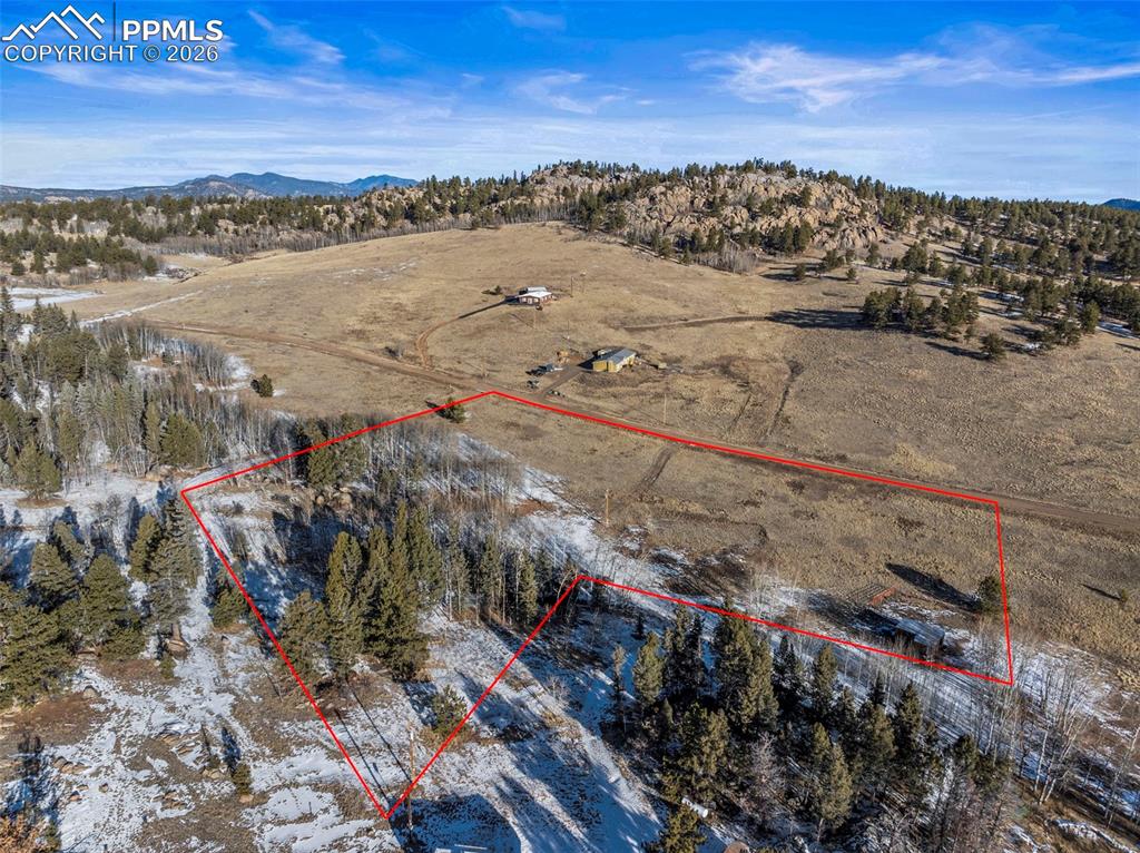 546 Alpine Meadows Lane Florissant CO 80816