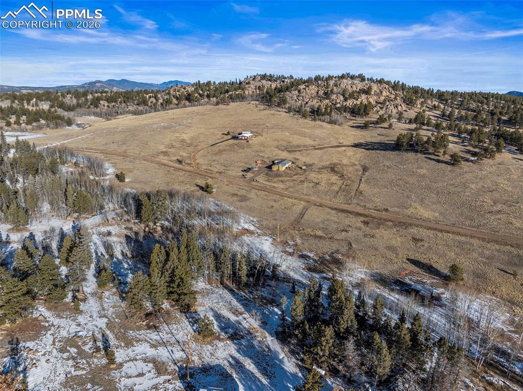 546 Alpine Meadows Lane Florissant CO 80816