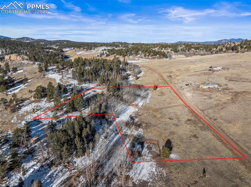 546 Alpine Meadows Lane Florissant CO 80816