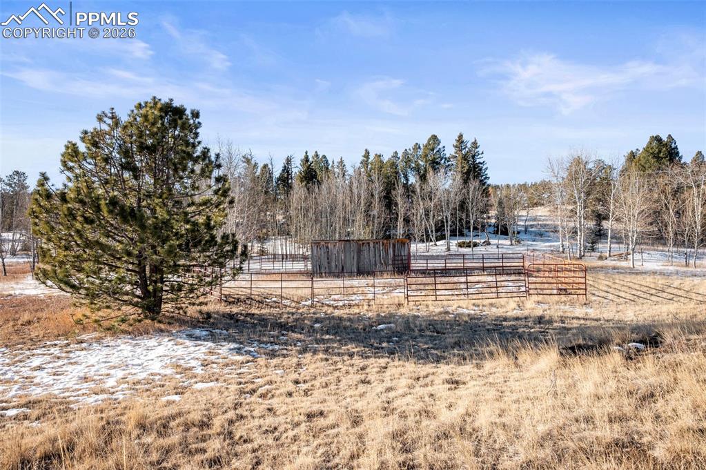 546 Alpine Meadows Lane Florissant CO 80816