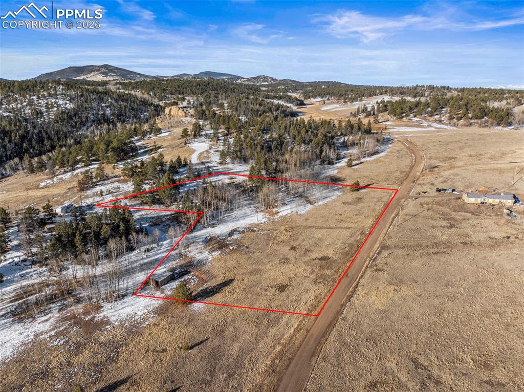 546 Alpine Meadows Lane Florissant CO 80816