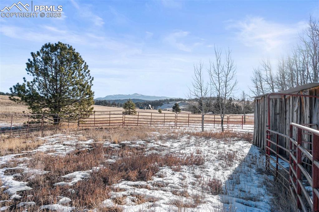 546 Alpine Meadows Lane Florissant CO 80816