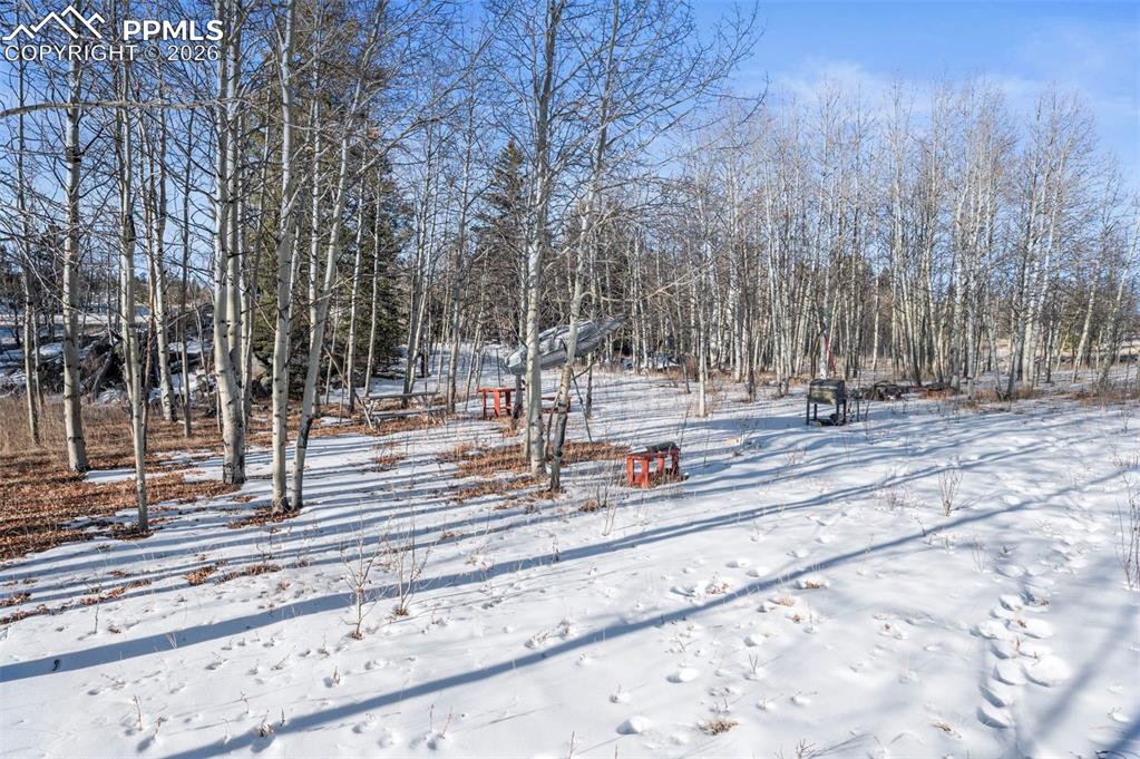 546 Alpine Meadows Lane Florissant CO 80816