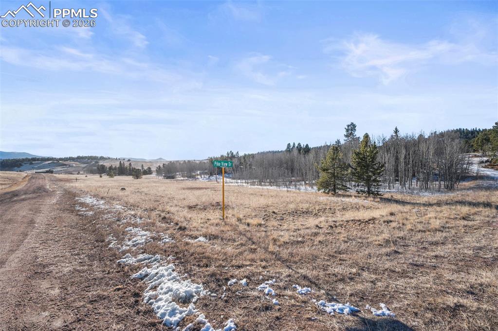 546 Alpine Meadows Lane Florissant CO 80816