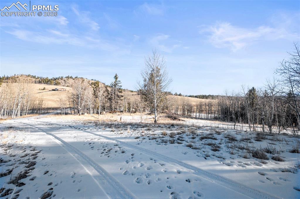 546 Alpine Meadows Lane Florissant CO 80816