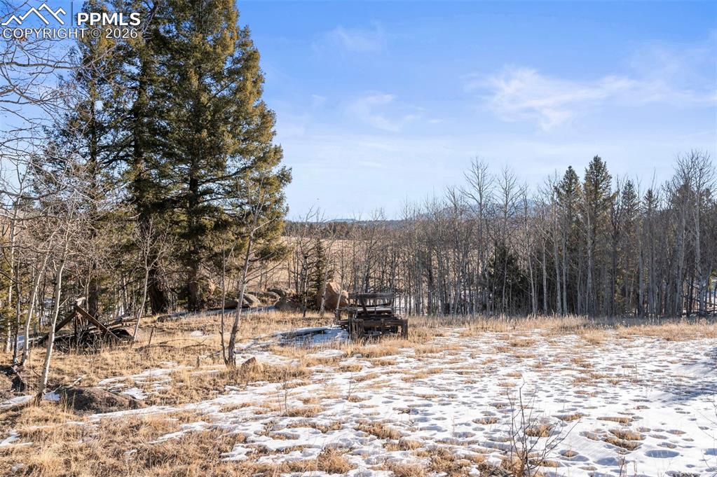 546 Alpine Meadows Lane Florissant CO 80816