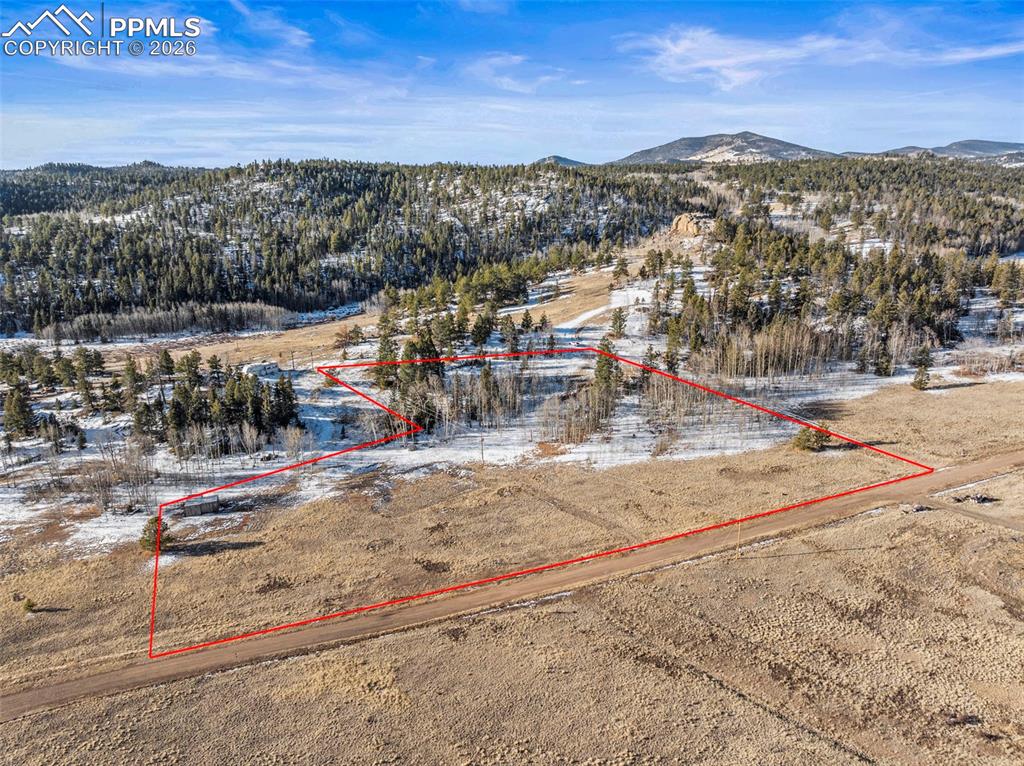 546 Alpine Meadows Lane Florissant CO 80816
