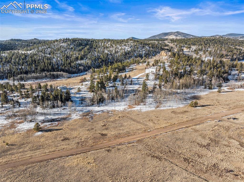 546 Alpine Meadows Lane Florissant CO 80816