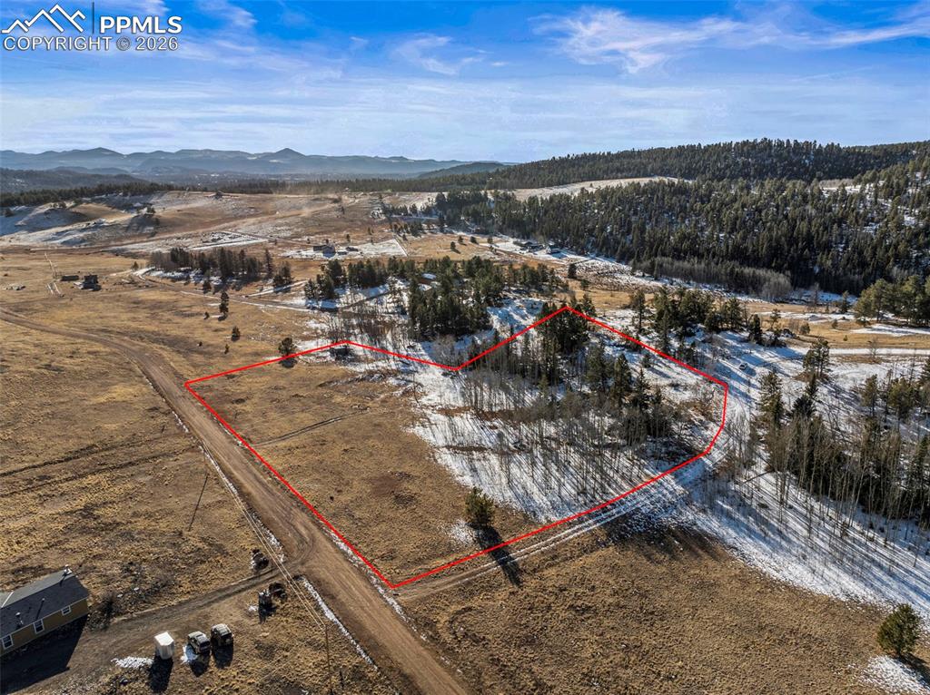 546 Alpine Meadows Lane Florissant CO 80816