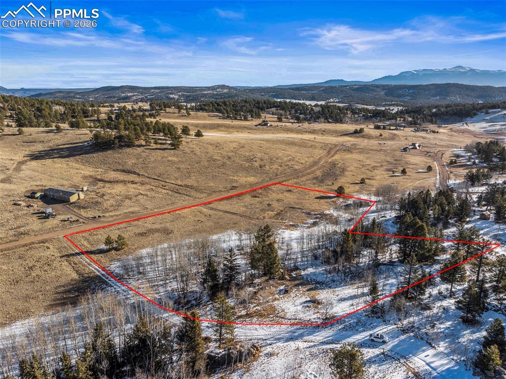 546 Alpine Meadows Lane Florissant CO 80816