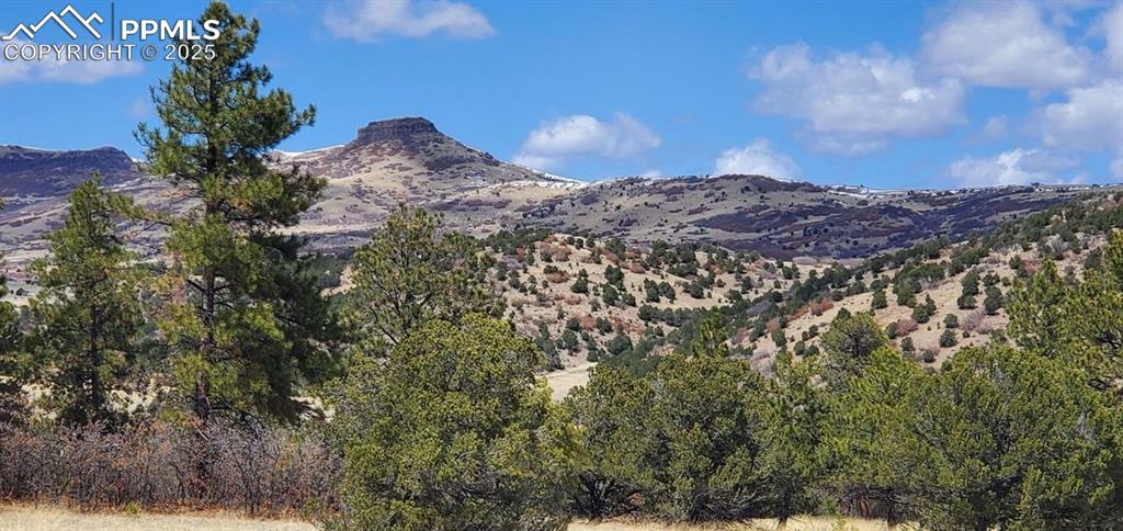 0 Cap Rock Road Canon City CO 81212