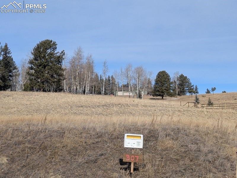 307 Pinaceae Heights Divide CO 80814