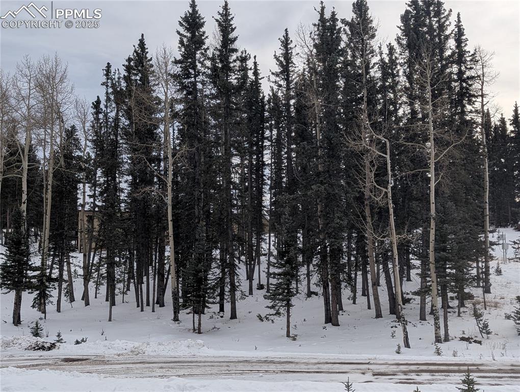 307 Pinaceae Heights Divide CO 80814