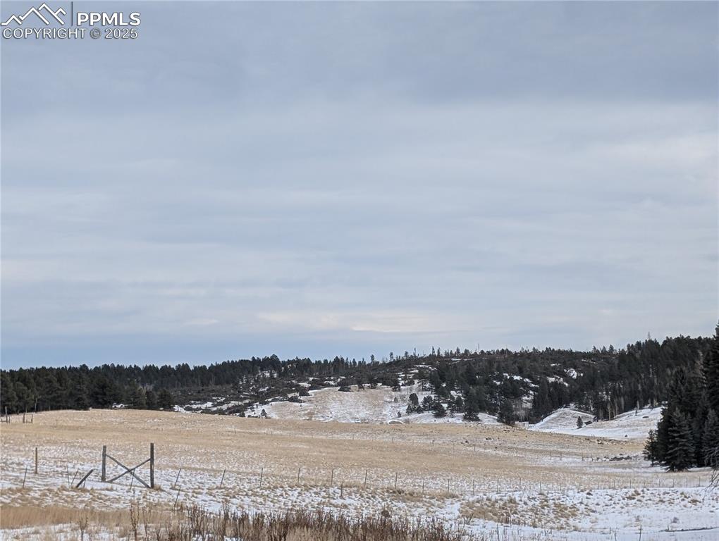 307 Pinaceae Heights Divide CO 80814