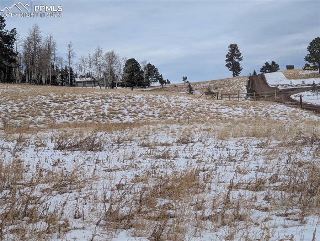 307 Pinaceae Heights Divide CO 80814