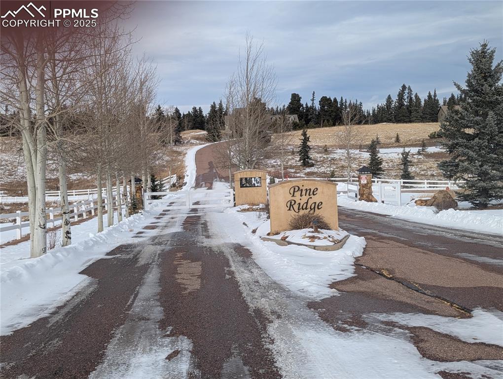 307 Pinaceae Heights Divide CO 80814