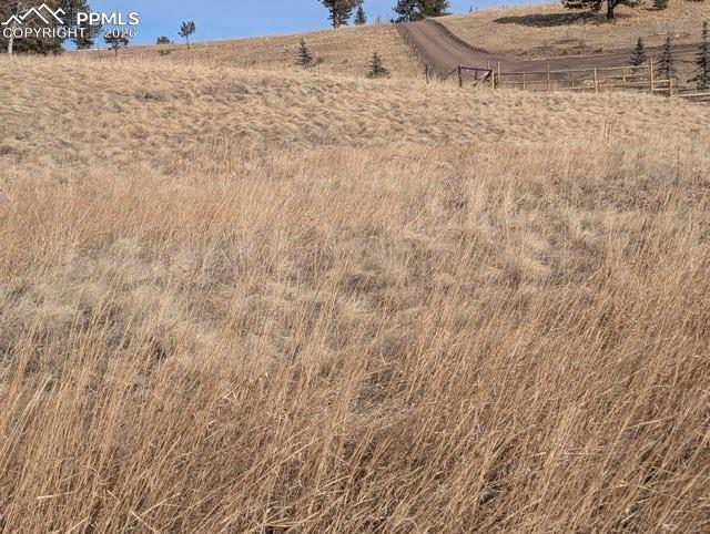 307 Pinaceae Heights Divide CO 80814