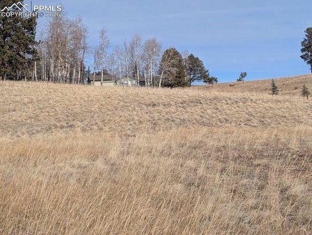 307 Pinaceae Heights Divide CO 80814