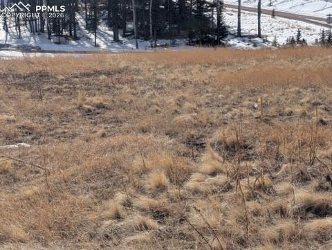 307 Pinaceae Heights Divide CO 80814