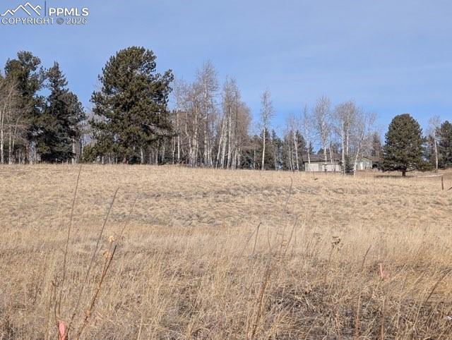 307 Pinaceae Heights Divide CO 80814