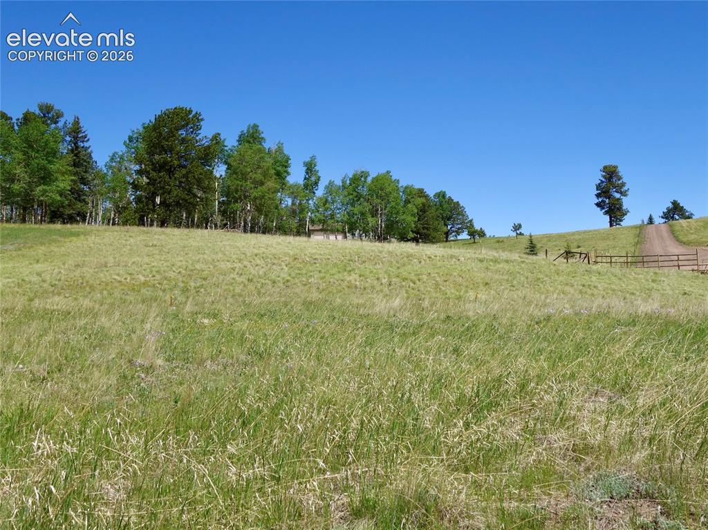 307 Pinaceae Heights Divide CO 80814