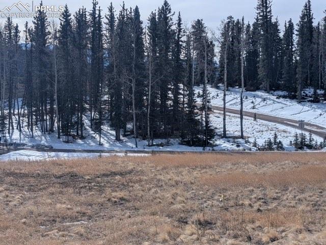 307 Pinaceae Heights Divide CO 80814