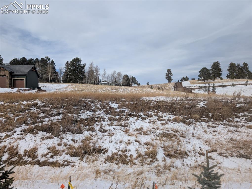 307 Pinaceae Heights Divide CO 80814