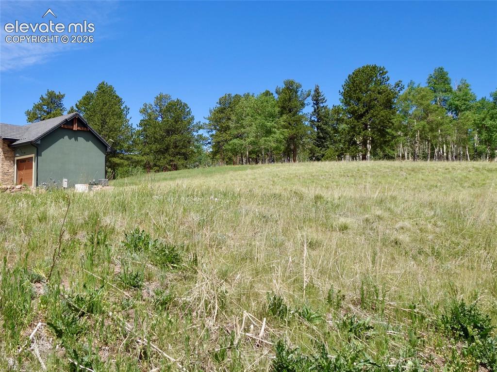 307 Pinaceae Heights Divide CO 80814