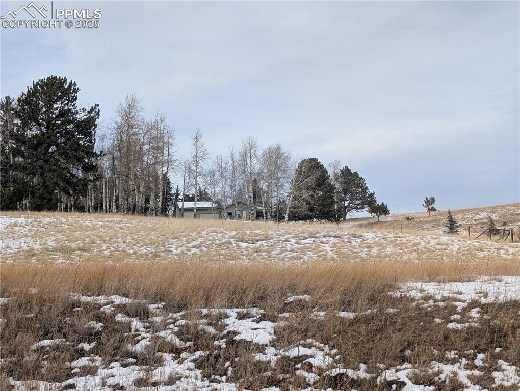 307 Pinaceae Heights Divide CO 80814