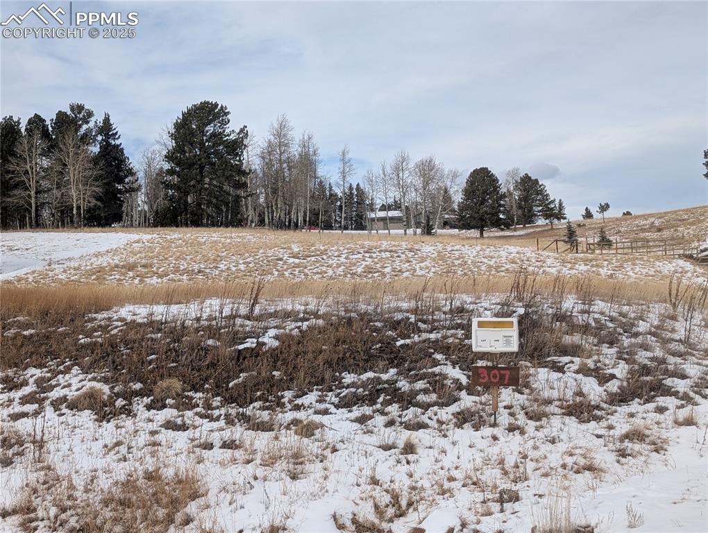 307 Pinaceae Heights Divide CO 80814