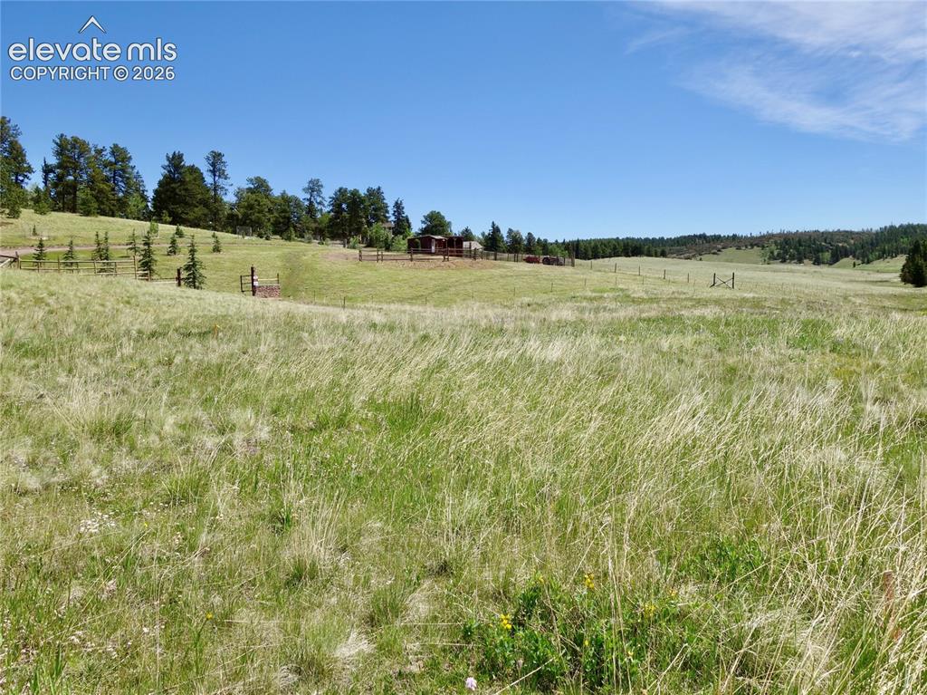 307 Pinaceae Heights Divide CO 80814