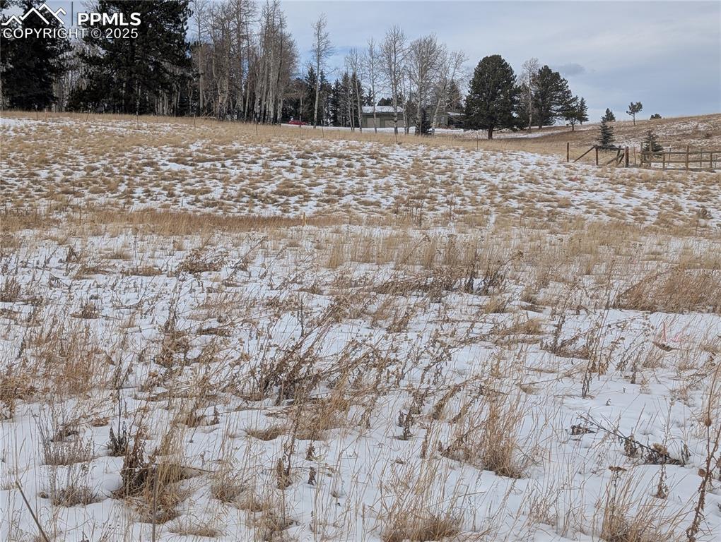 307 Pinaceae Heights Divide CO 80814