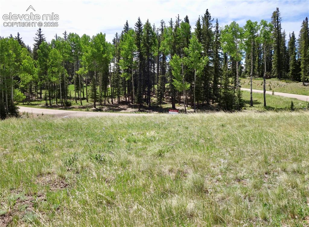 307 Pinaceae Heights Divide CO 80814