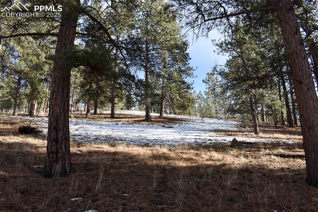 000 6th Street Guffey CO 80820
