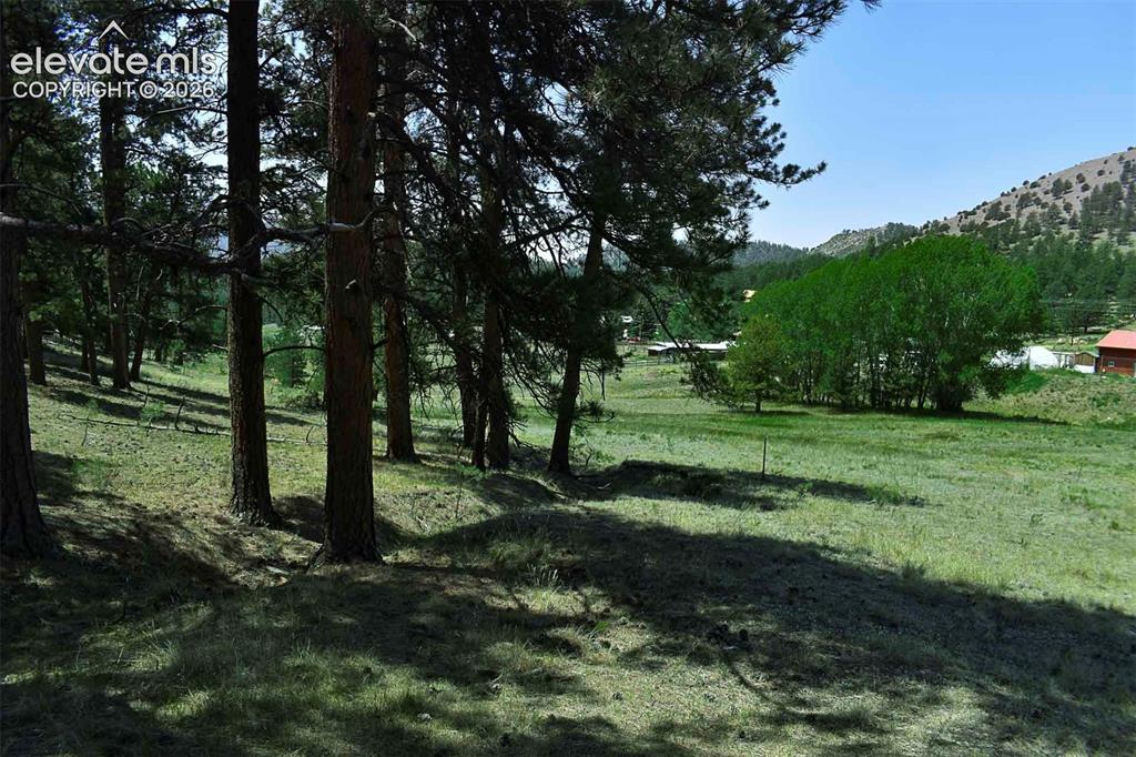 6TH Street Guffey CO 80820