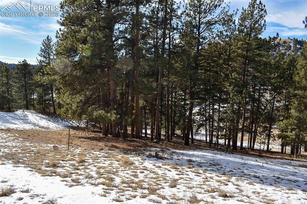 000 6th Street Guffey CO 80820