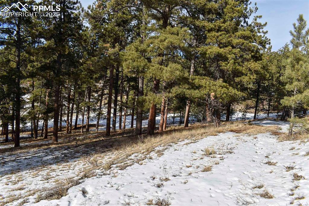 000 6th Street Guffey CO 80820