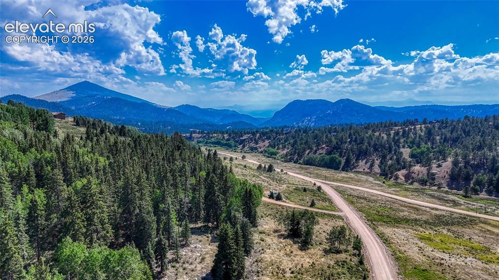 1444 Anges Drive Cripple Creek CO 80813