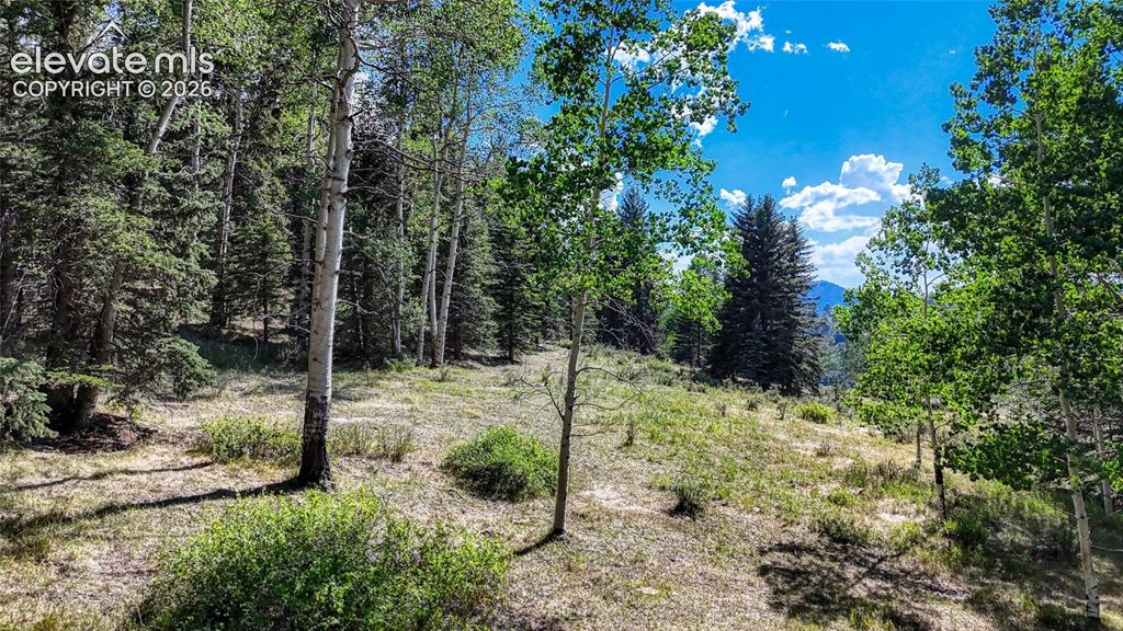 1444 Anges Drive Cripple Creek CO 80813