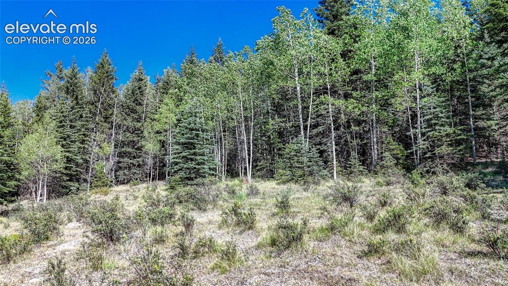 1444 Anges Drive Cripple Creek CO 80813
