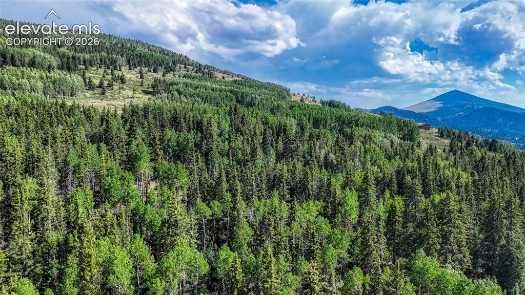 1444 Anges Drive Cripple Creek CO 80813