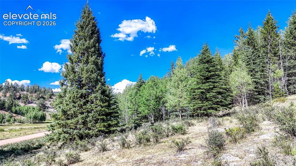 1444 Anges Drive Cripple Creek CO 80813