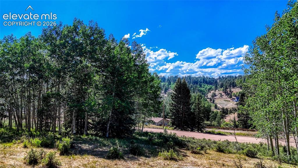 1444 Anges Drive Cripple Creek CO 80813