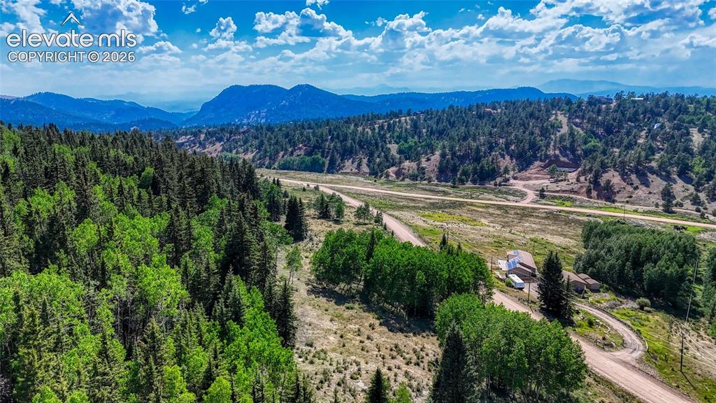 1444 Anges Drive Cripple Creek CO 80813