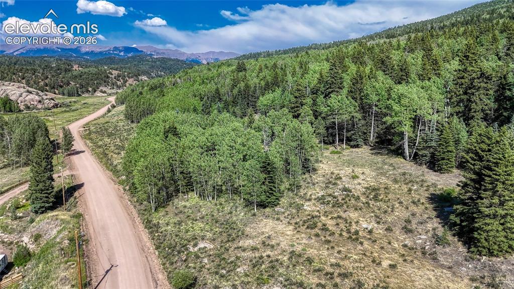 1444 Anges Drive Cripple Creek CO 80813