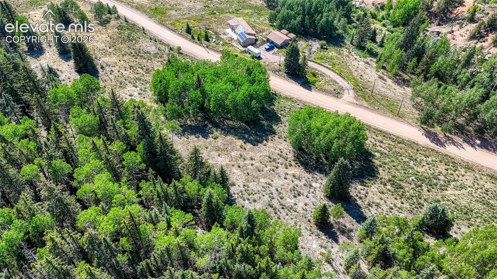1444 Anges Drive Cripple Creek CO 80813