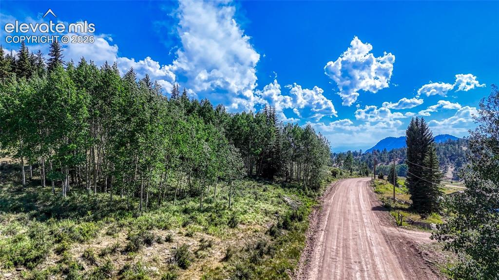 1444 Anges Drive Cripple Creek CO 80813